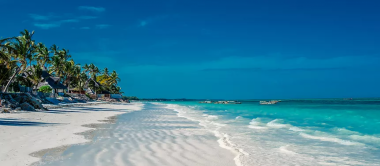 2288819